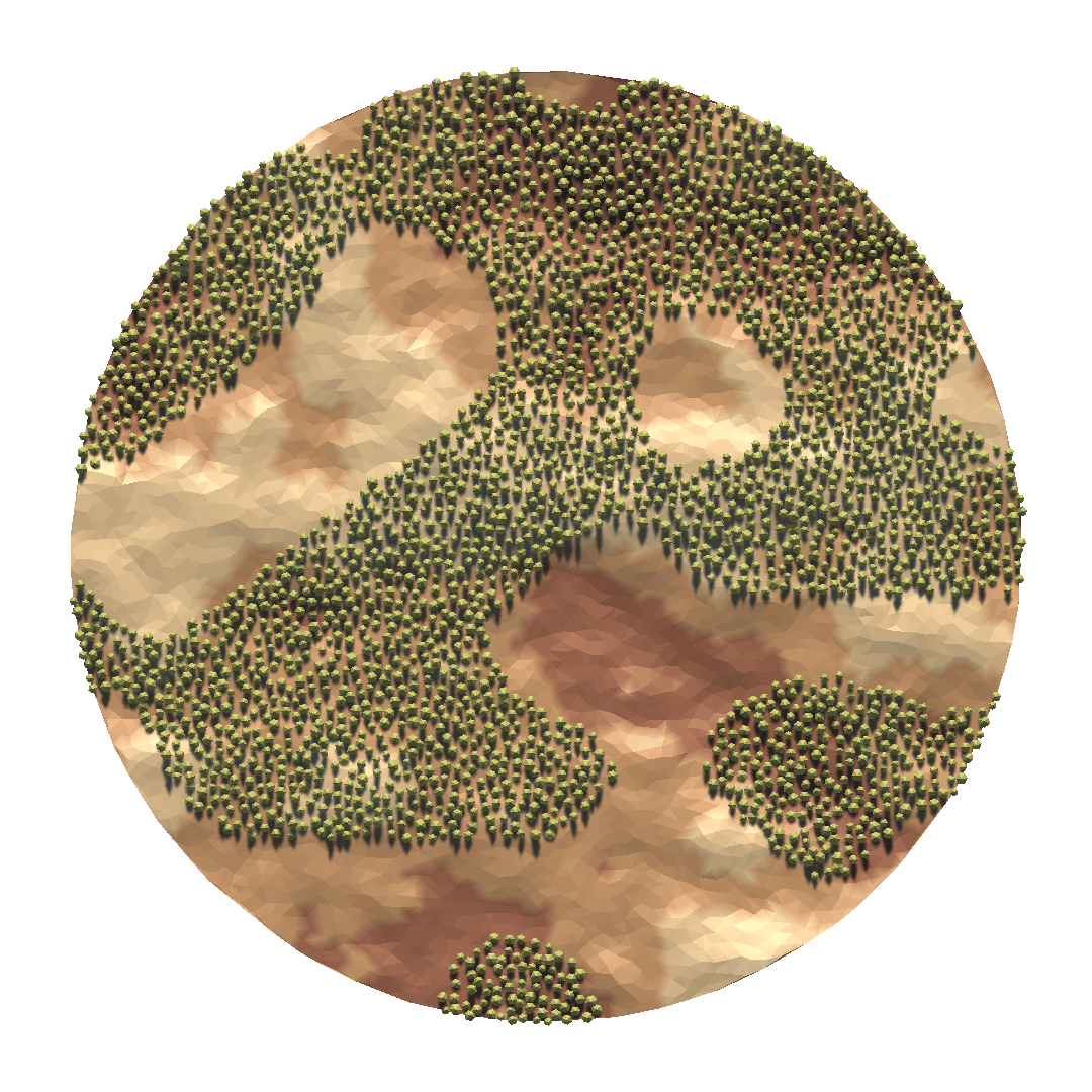 Forest-fire simulation